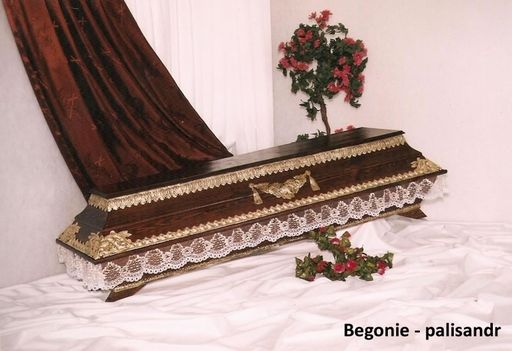 Rakev Begonie palisandr